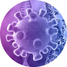 Calidrux Lifesciences