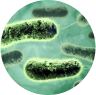 Calidrux Lifesciences